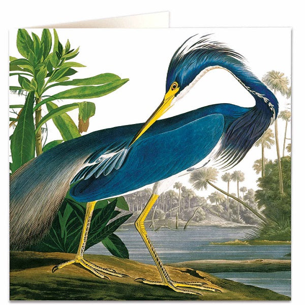 Archivist luxury greeting cards - the Heron