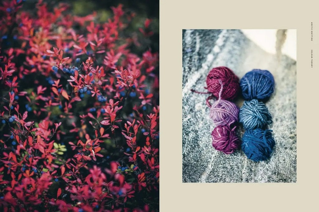 Cozy Books - Arctic Knitting – The Magic of Nature and Colourwork by Annika Konttaniemi 4