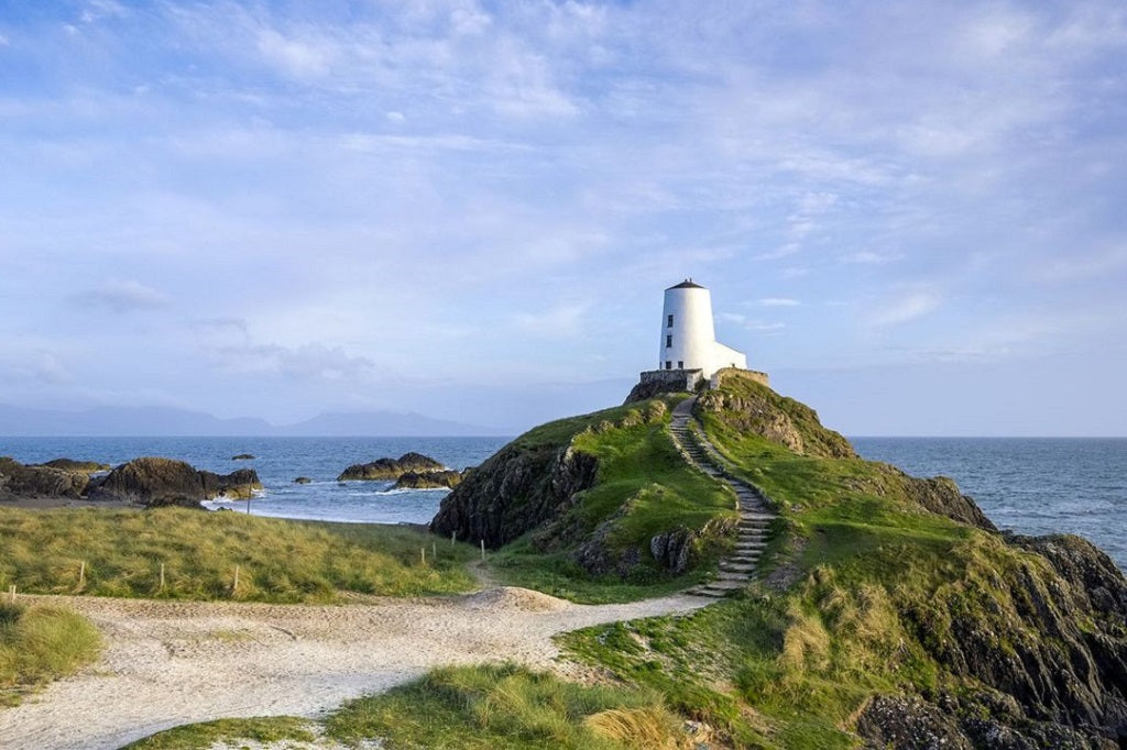 St Dwynwen's Day Candle