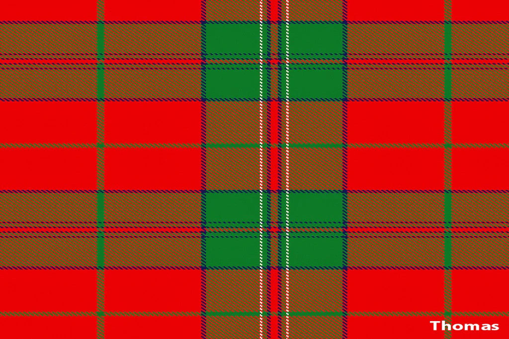 tartan scarf - thomas