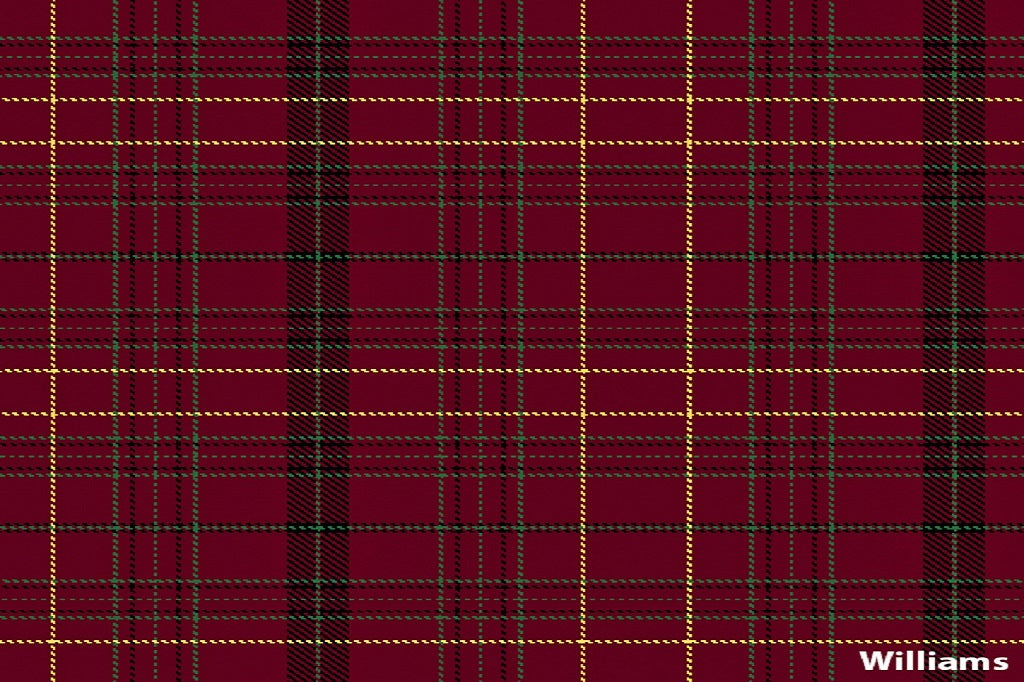 tartan scarf - williams